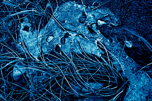 Distorted Melting Rock Eyed Ice Face (Blue Shade Photo)
