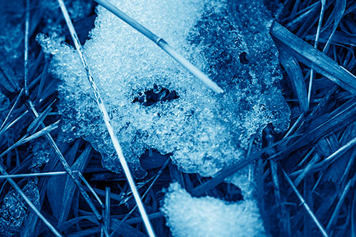 Half Melted Ice Face Smirking Among Reed Grass (Blue Shade Photo)
