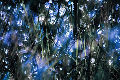 Sunlight Sparkles Burst Through Dewy Grass (Blue Tint Photo)
