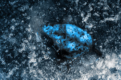 Bubble Eyed Leaf Face Frozen Beneath River Ice (Blue Tone Photo)