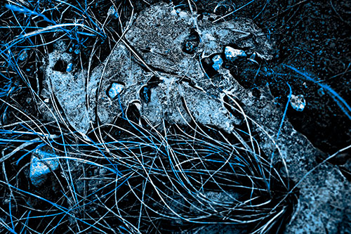 Distorted Melting Rock Eyed Ice Face (Blue Tone Photo)