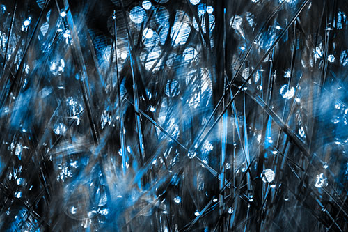 Sunlight Sparkles Burst Through Dewy Grass (Blue Tone Photo)
