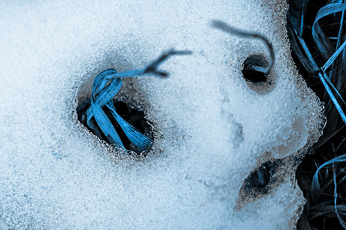Twisting Grass Eyed Snow Face (Blue Tone Photo)