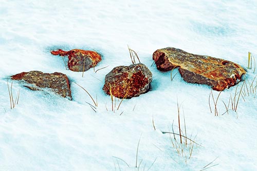 Four Big Rocks Buried In Snow