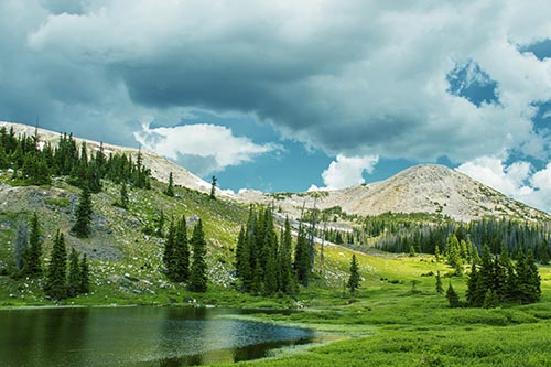 Medicine Bow Forest Pictures