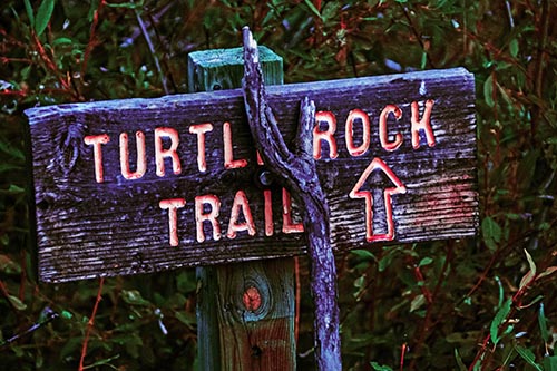 Wooden Turtle Rock Trail Sign