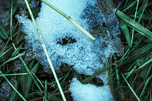 Half Melted Ice Face Smirking Among Reed Grass (Cyan Tint Photo)