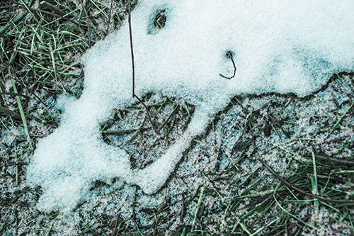 Screaming Stick Eyed Snow Face Among Grass (Cyan Tint Photo)