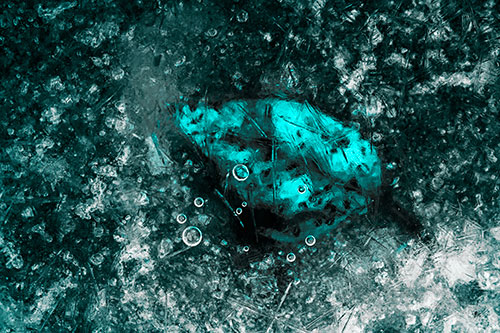 Bubble Eyed Leaf Face Frozen Beneath River Ice (Cyan Tone Photo)