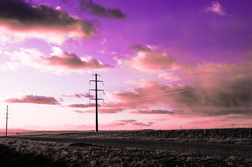 Sunset Clouds Scatter Above Powerlines (Pink Tint Photo)