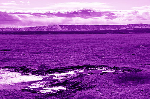 Dirt Prairie To Mountain Peak (Purple Shade Photo)