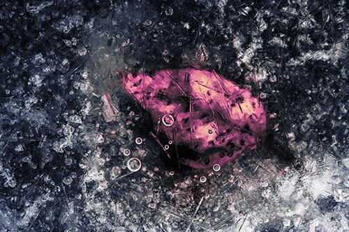 Bubble Eyed Leaf Face Frozen Beneath River Ice (Purple Tint Photo)