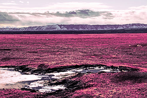 Dirt Prairie To Mountain Peak (Purple Tint Photo)