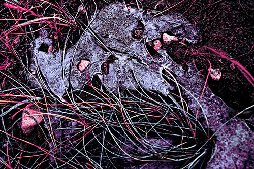 Distorted Melting Rock Eyed Ice Face (Purple Tint Photo)