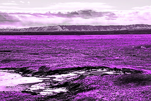 Dirt Prairie To Mountain Peak (Purple Tone Photo)