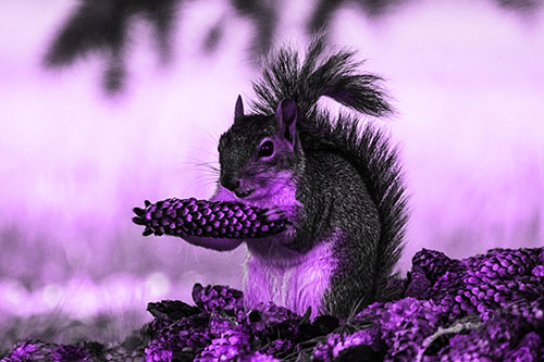 Squirrel Eating Pine Cones (Purple Tone Photo)