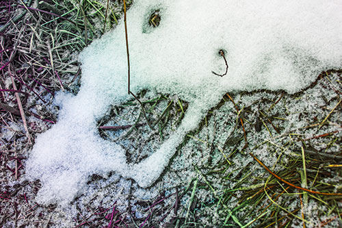 Screaming Stick Eyed Snow Face Among Grass (Rainbow Tint Photo)