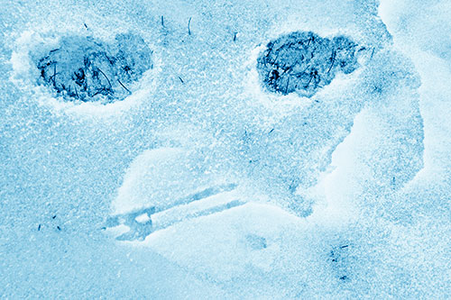 Beak Mouthed Footprint Face Among Snow (Blue Shade)