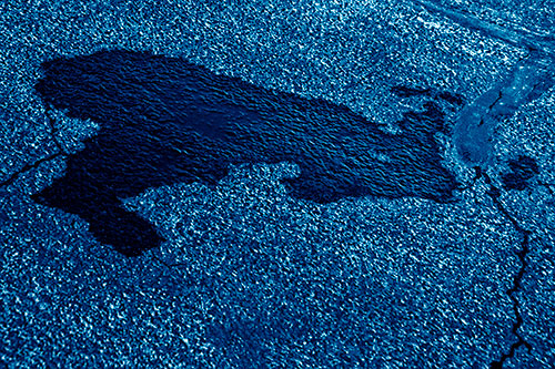 Bunny Rabbit Pavement Puddle Figure Formation (Blue Shade)