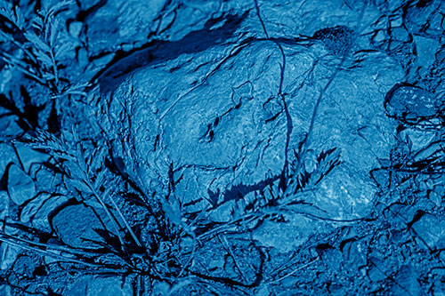 Demonic Leaf Mouthed Rock Face Snarling Among Dirt (Blue Shade)