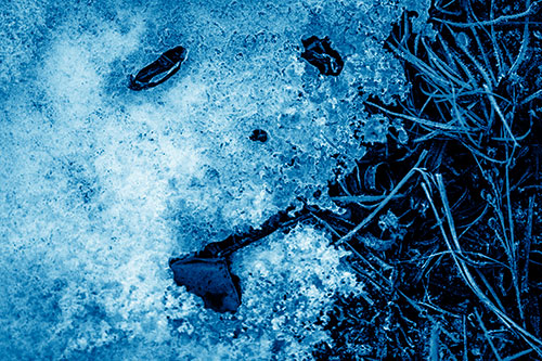 Depressed Snow Face Frowning Among Grass (Blue Shade)