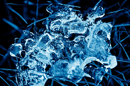 Dismayed Ice Dragon Face Frozen Among Piercing Grass Blades (Blue Shade)