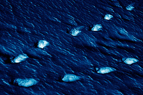 Distancing Snow Footprints (Blue Shade)