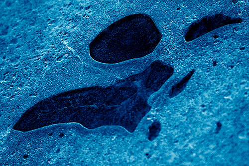 Distorted Skull Face Within Frozen Ice (Blue Shade Photo)