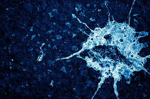 Distressed Bird Excrement Face Splattered Among Pavement (Blue Shade)