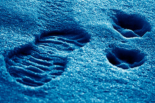 Dog And Human Footprint Marks In Snow (Blue Shade Photo)