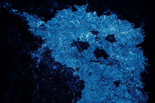 Dry Smirking Moss Face Among Damp Rock Surface (Blue Shade)