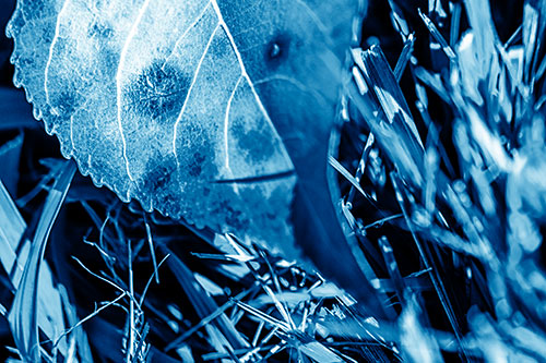 Eye Winking Shadow Smirking Leaf Face (Blue Shade)