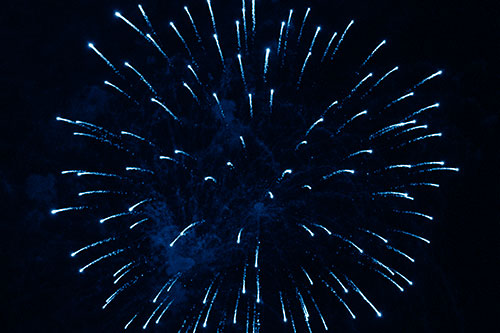 Firework Star Trails Vaporize Among Night Sky (Blue Shade Photo)