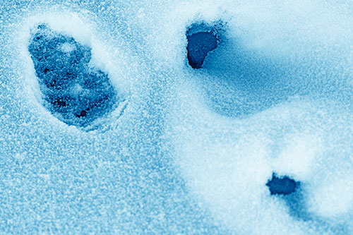 Footprint Eye Snow Face Atop Rock Surface (Blue Shade)