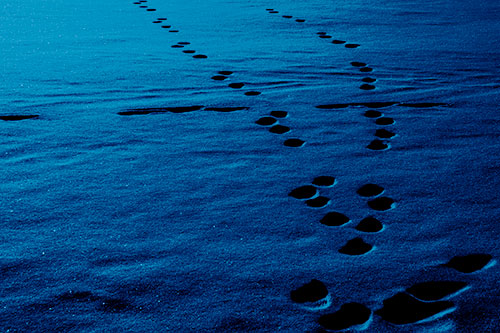 Footprint Trail Across Snow Covered Lake (Blue Shade Photo)