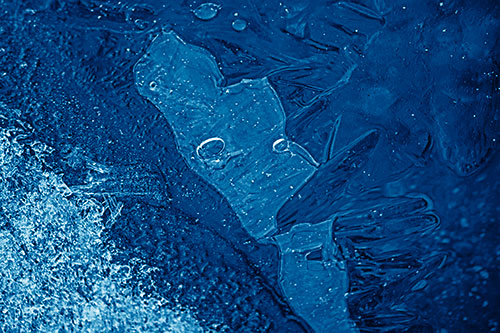 Frozen Bubble Eyed Ice Face Figure Along River Shoreline (Blue Shade Photo)