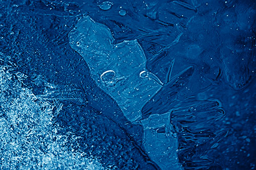 Frozen Bubble Eyed Ice Face Figure Along River Shoreline (Blue Shade)