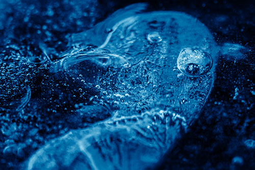 Frozen Distorted Bubble Eyed Ice Face (Blue Shade Photo)
