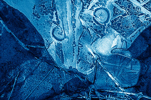 Frozen Spiral Eyed Stick Nosed Ice Face Along Shore (Blue Shade)