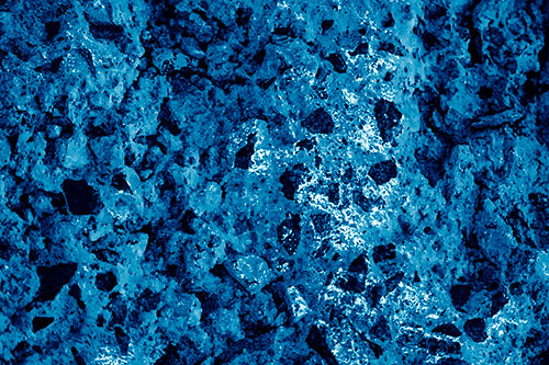 Fungi Covers Rugged Surfaced Stone (Blue Shade Photo)