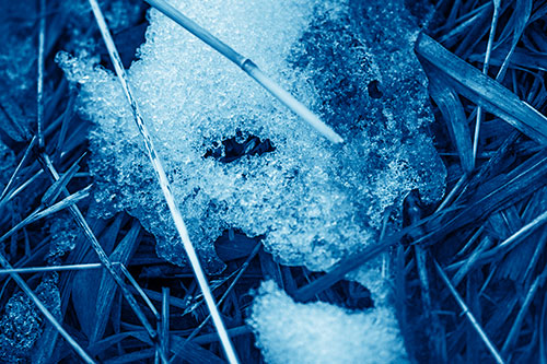 Half Melted Ice Face Smirking Among Reed Grass (Blue Shade)