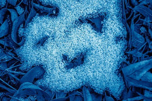 Happy Snow Face Among Dead Twisted Leaves (Blue Shade)