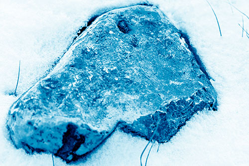Horse Faced Rock Imprinted In Snow (Blue Shade Photo)