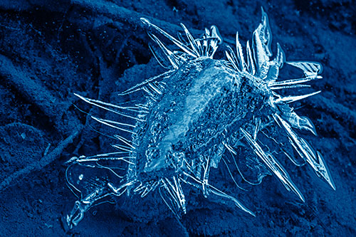 Jagged Spiked Ice Surrounds Water Submerged Rock (Blue Shade Photo)