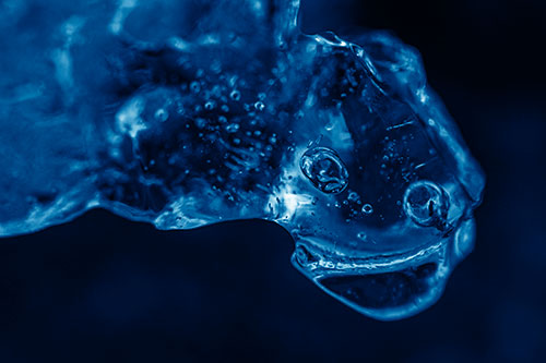 Joyful Frozen Bubble Eyed River Ice Face Creature (Blue Shade Photo)