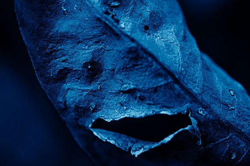 Lacerated Mouth Leaf Face Smirking Among Decay (Blue Shade)