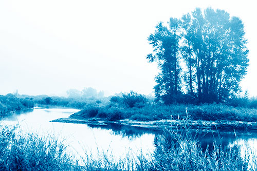 Large Foggy Trees At Edge Of River Bend (Blue Shade Photo)
