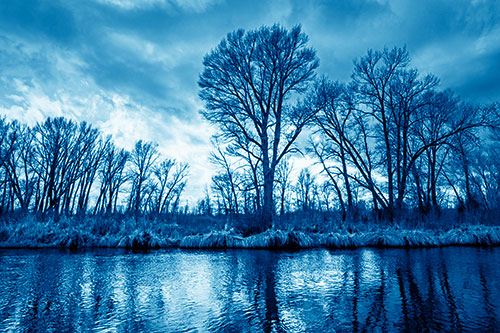 Leafless Trees Cast Reflections Along River Water (Blue Shade Photo)