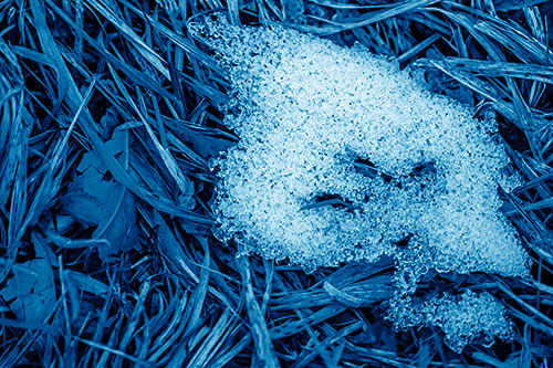 Miserable Slanted Grass Eyed Snow Face (Blue Shade)