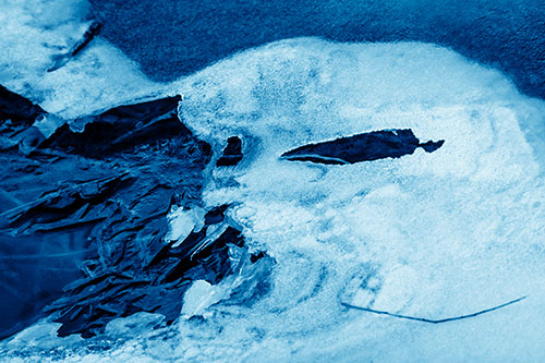 Mouth Melting River Ice Face Among Floating Branches (Blue Shade)